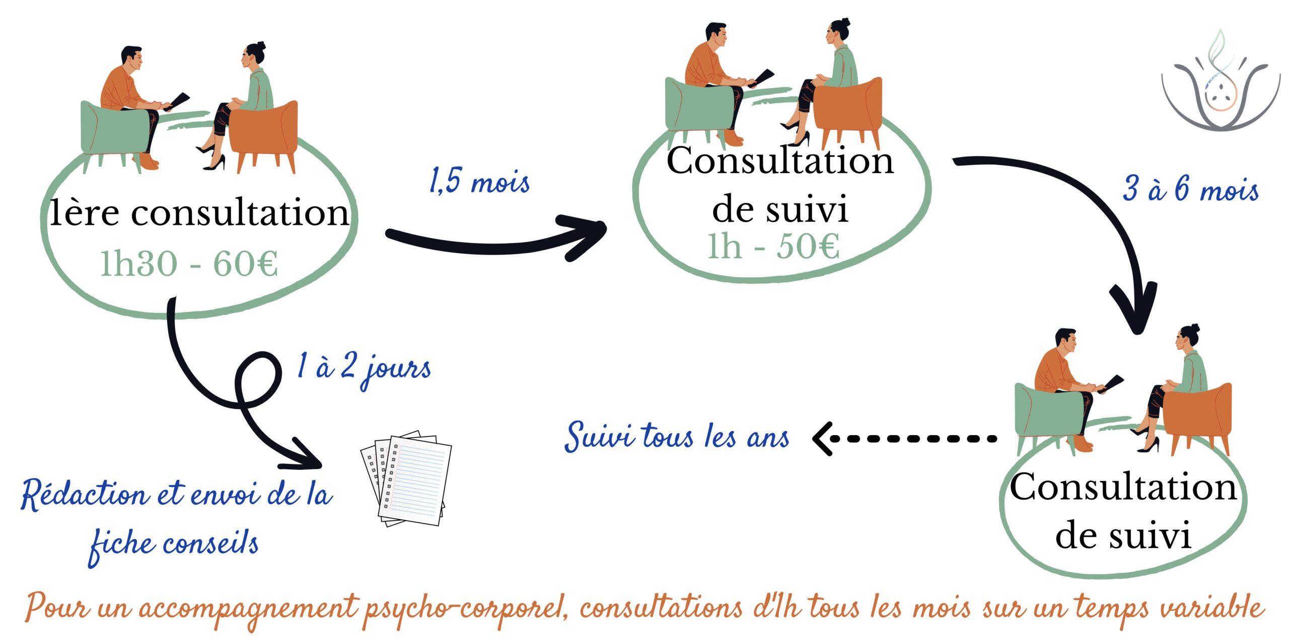 Schéma présentant le planning théorique des consultations en naturopathie.